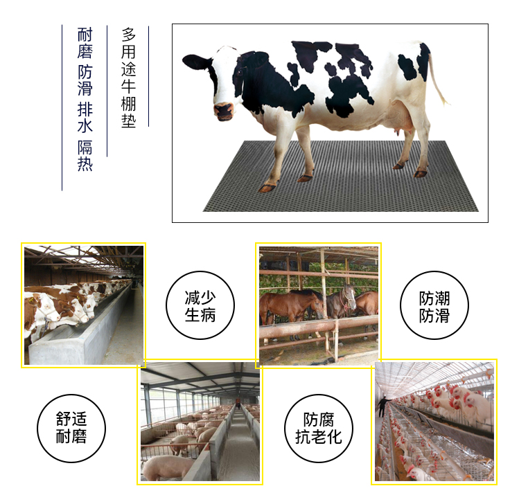 1588739289106486.jpg 产品参数_06.jpg