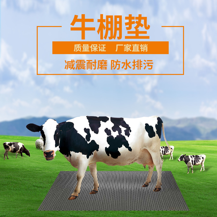 1588816877409533.jpg 13920259773_1893734943.jpg